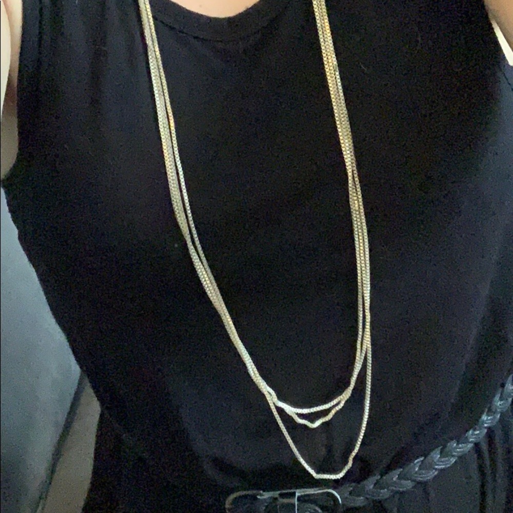 Long Silvertone Necklace